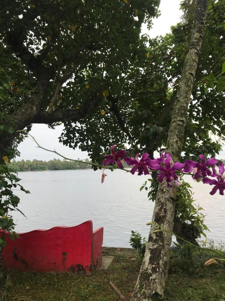 Ashtamudi Villa コッラム エクステリア 写真
