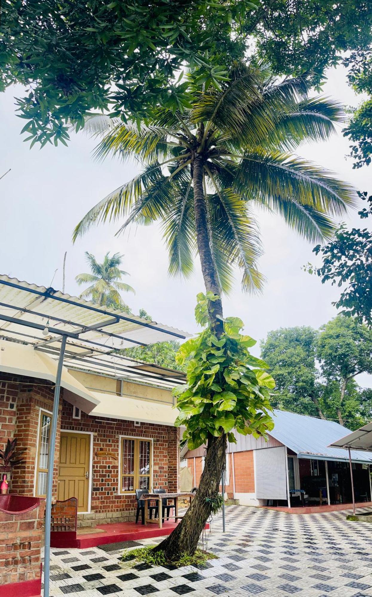 Ashtamudi Villa コッラム エクステリア 写真