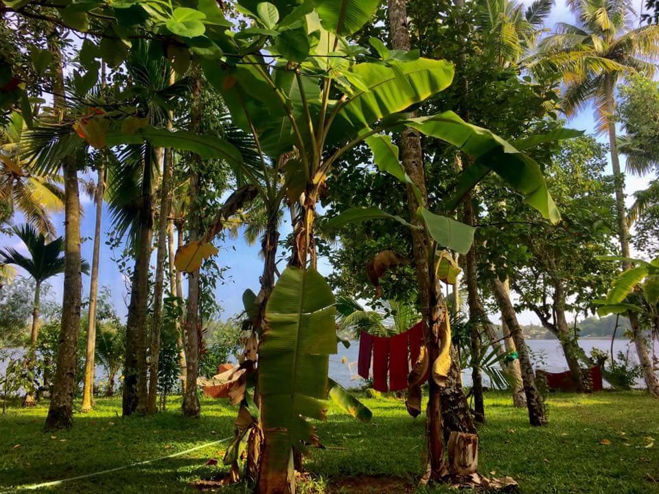 Ashtamudi Villa コッラム エクステリア 写真